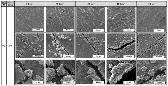 Catalysts 16 00269 g0a5