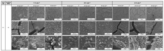 Catalysts 16 00269 g0a9