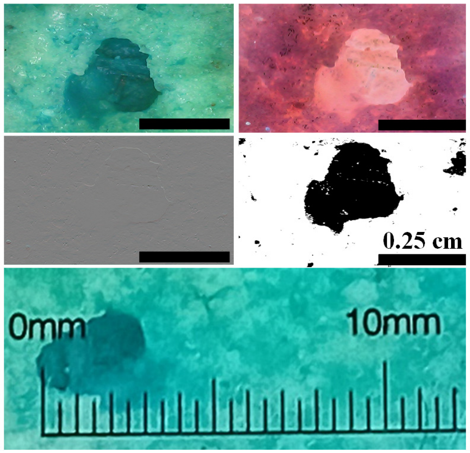 Catalysts 16 00282 g005 Catalysts 16 00282 g005