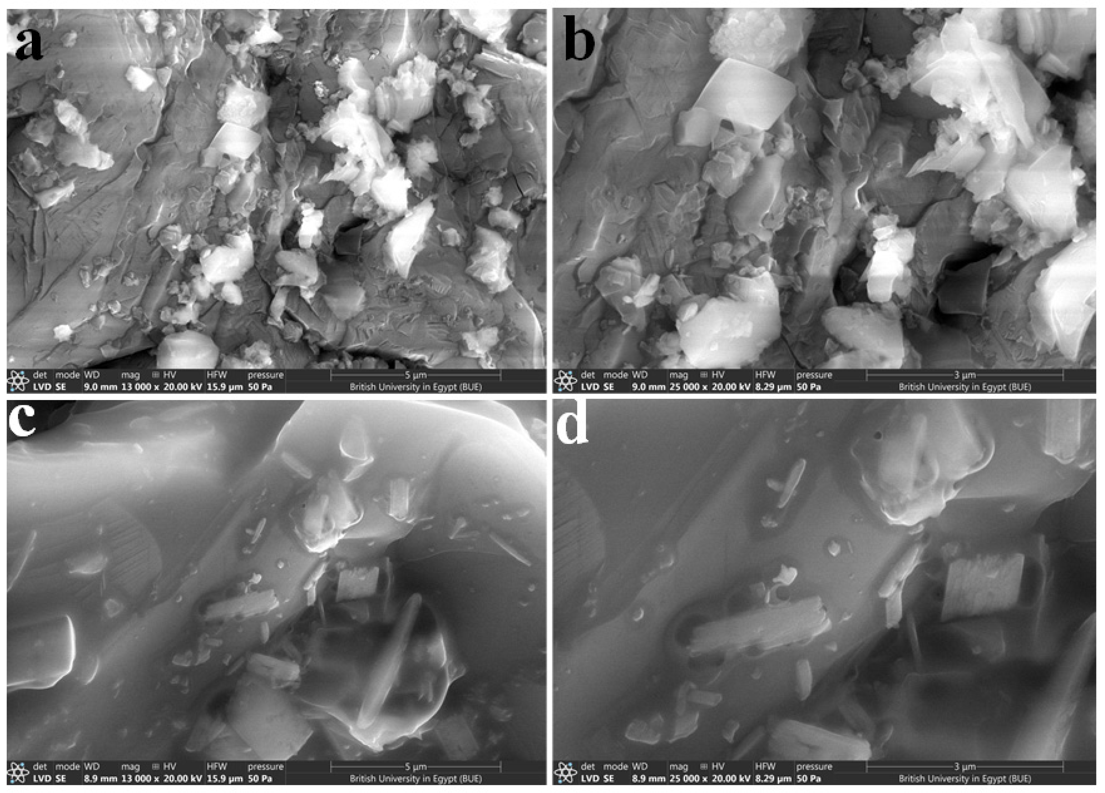 Catalysts 16 00282 g006 Catalysts 16 00282 g006