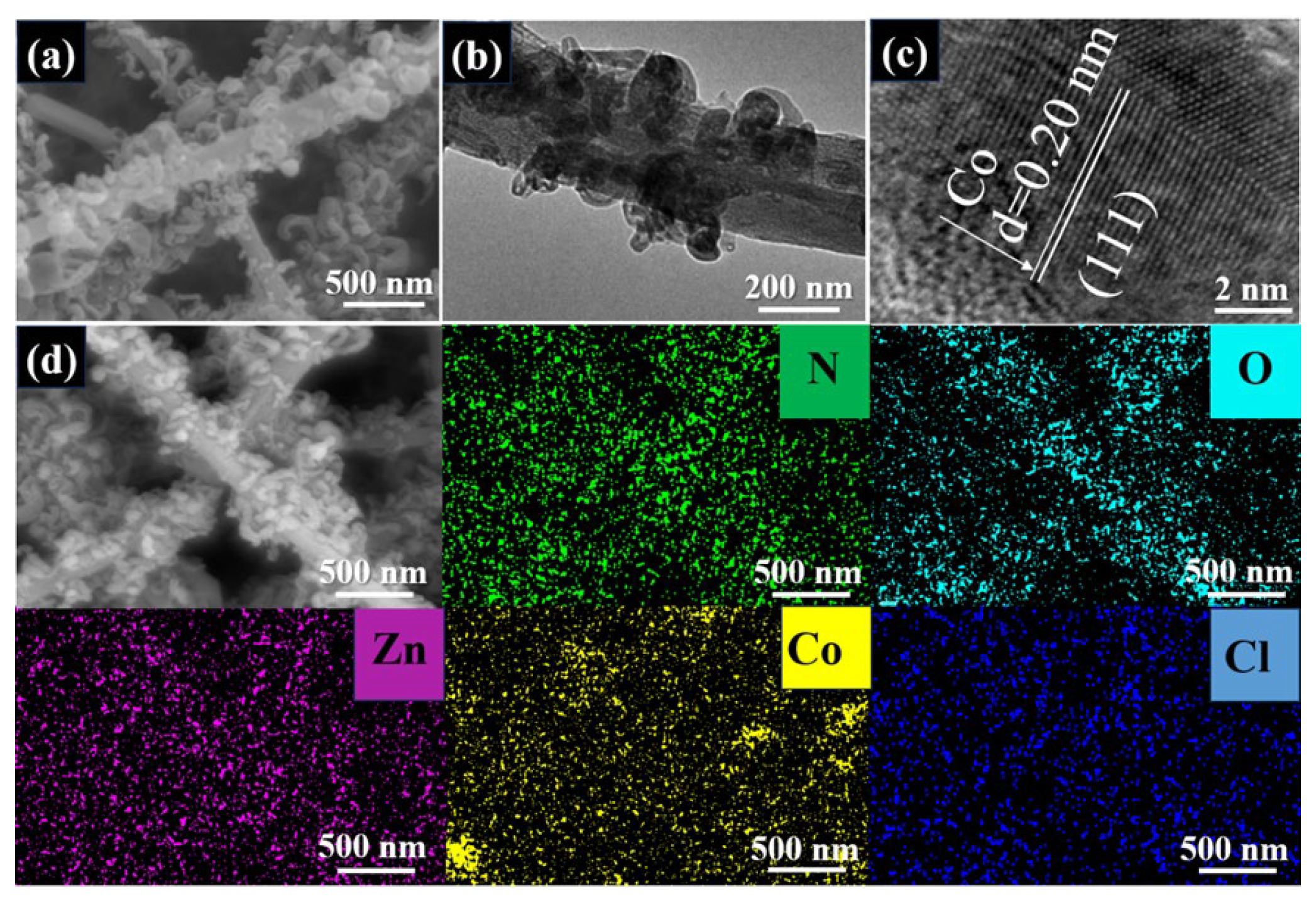 Catalysts 16 00331 g001 Catalysts 16 00331 g001