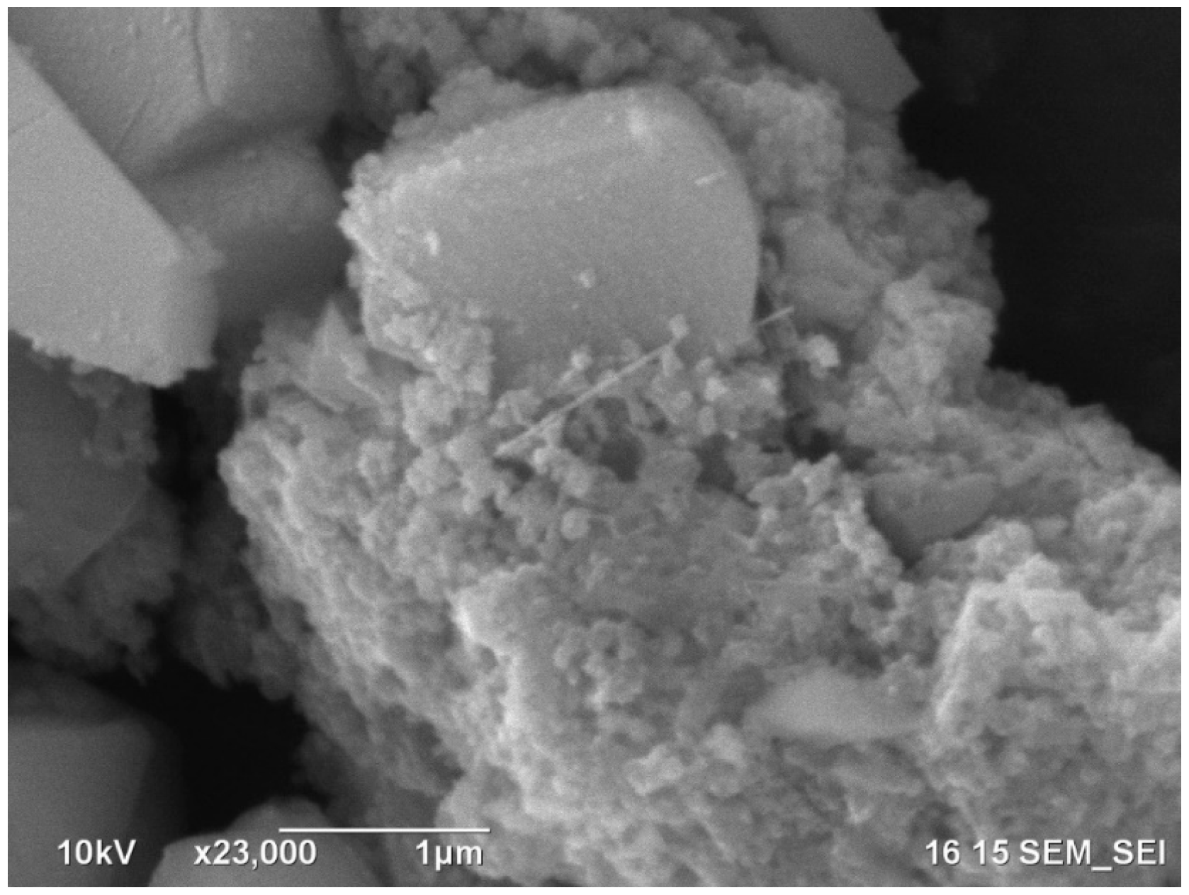 Catalysts 16 00332 g002 Catalysts 16 00332 g002