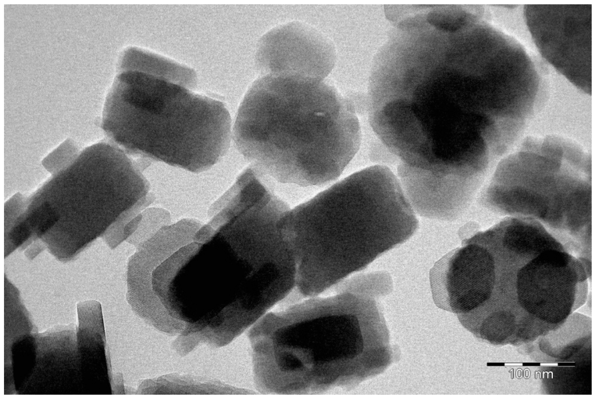 Catalysts 16 00332 g003 Catalysts 16 00332 g003
