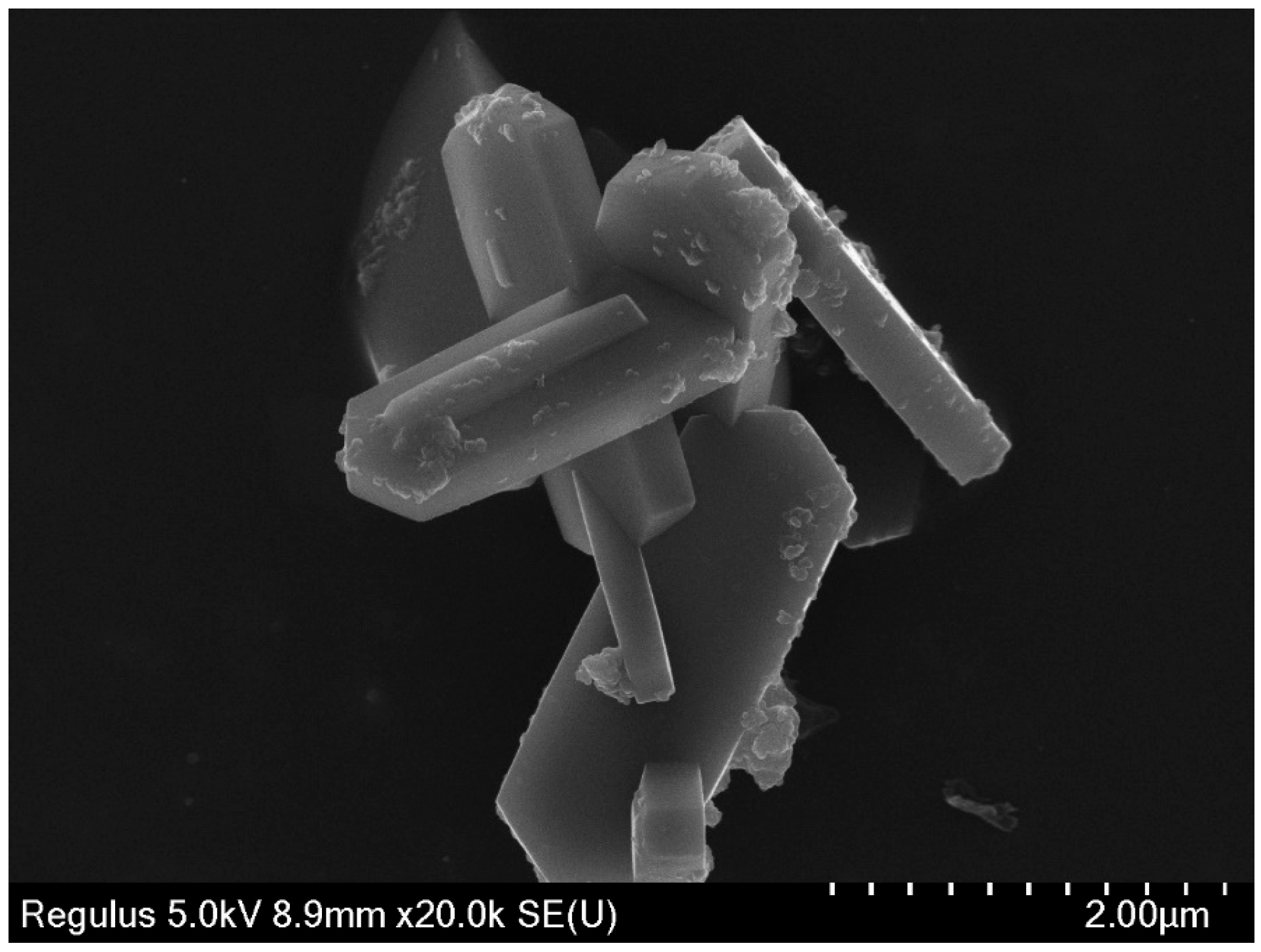 Catalysts 16 00332 g004 Catalysts 16 00332 g004