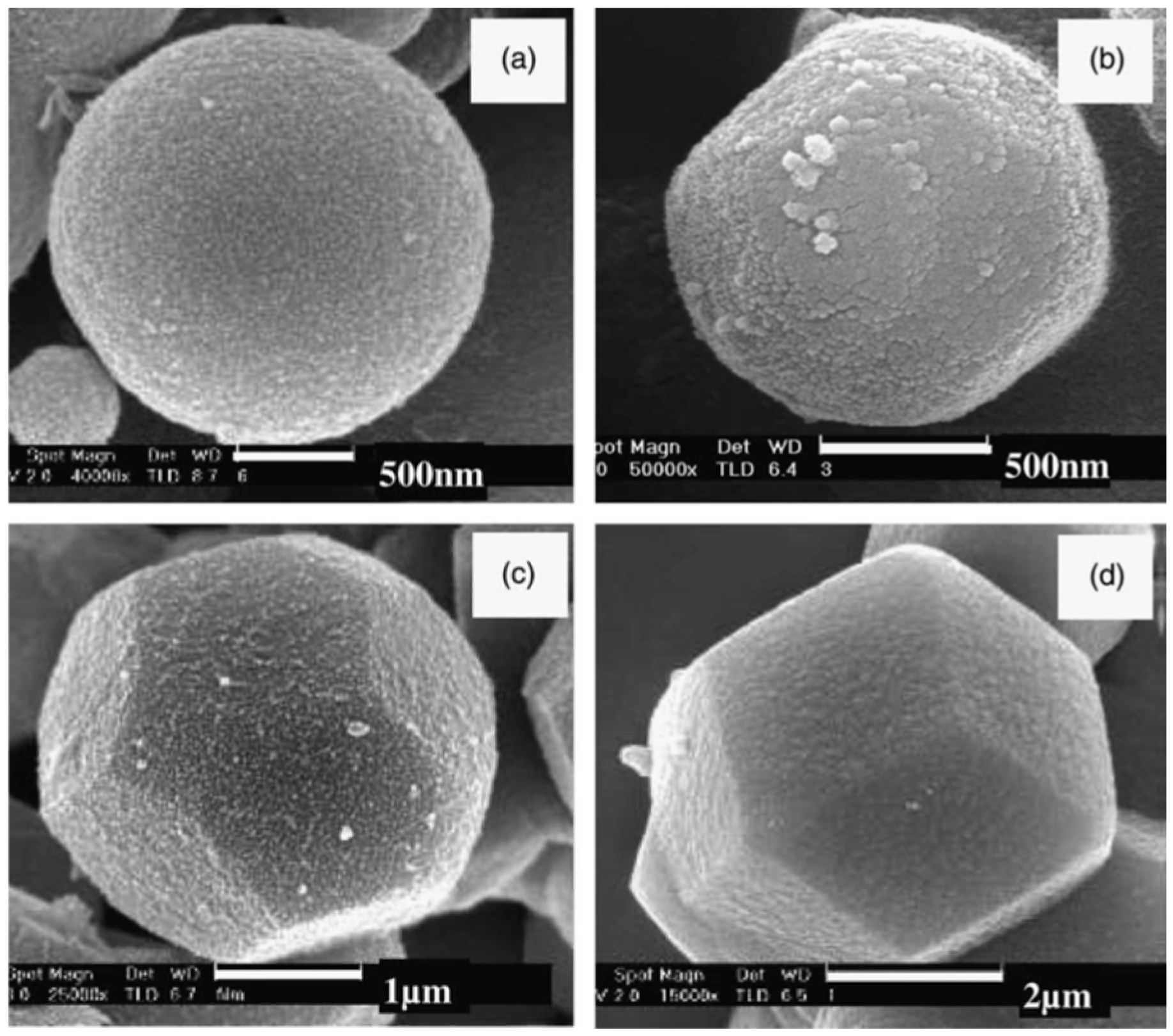 Catalysts 16 00332 g009 Catalysts 16 00332 g009