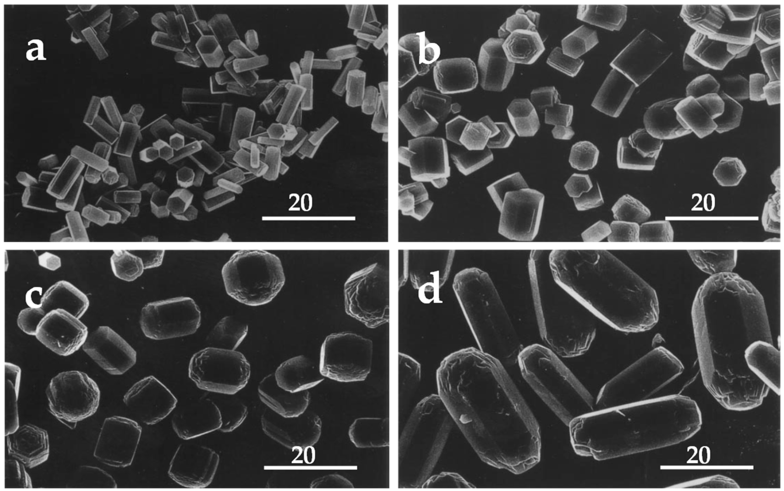 Catalysts 16 00332 g010 Catalysts 16 00332 g010