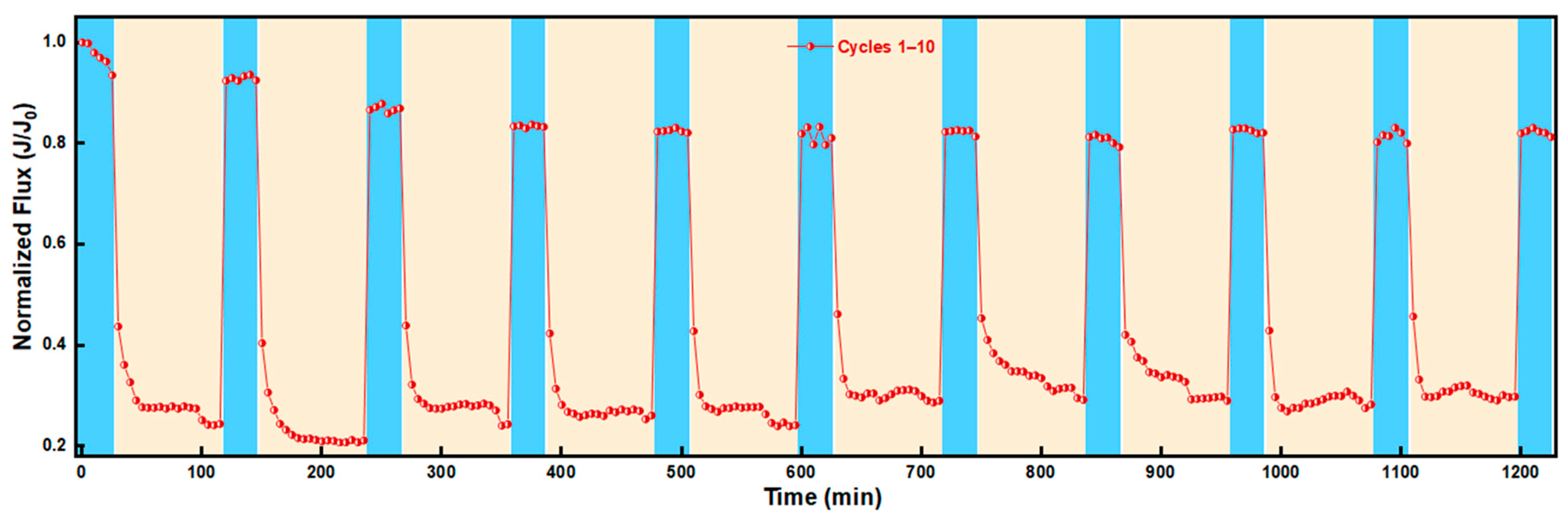 Catalysts 16 00344 g005 Catalysts 16 00344 g005