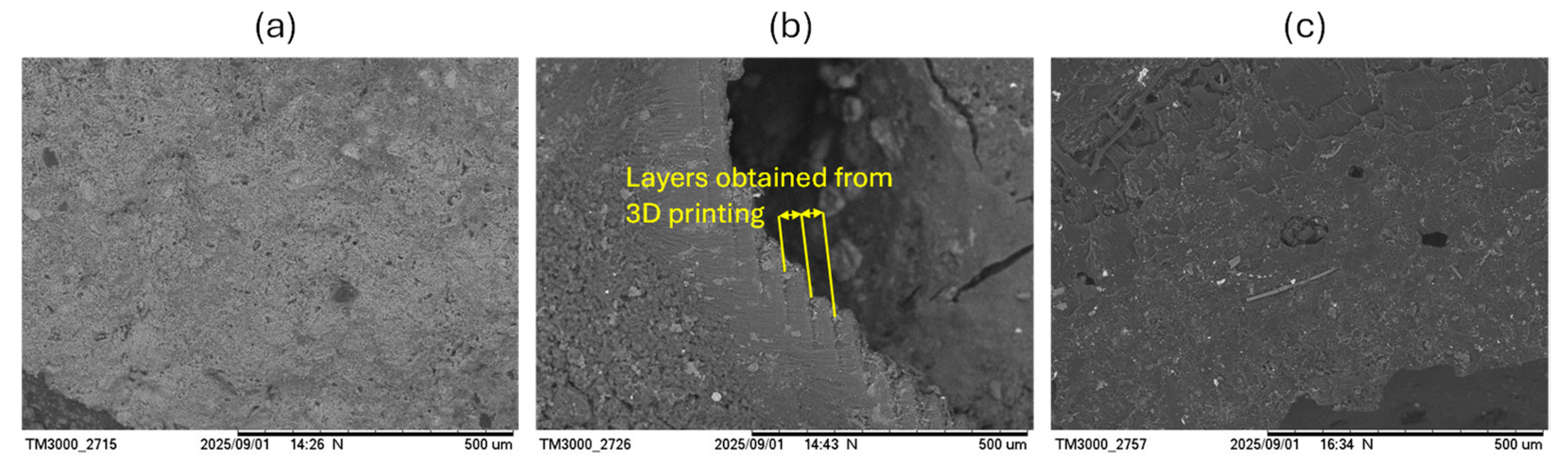 Catalysts 16 00348 g007 Catalysts 16 00348 g007