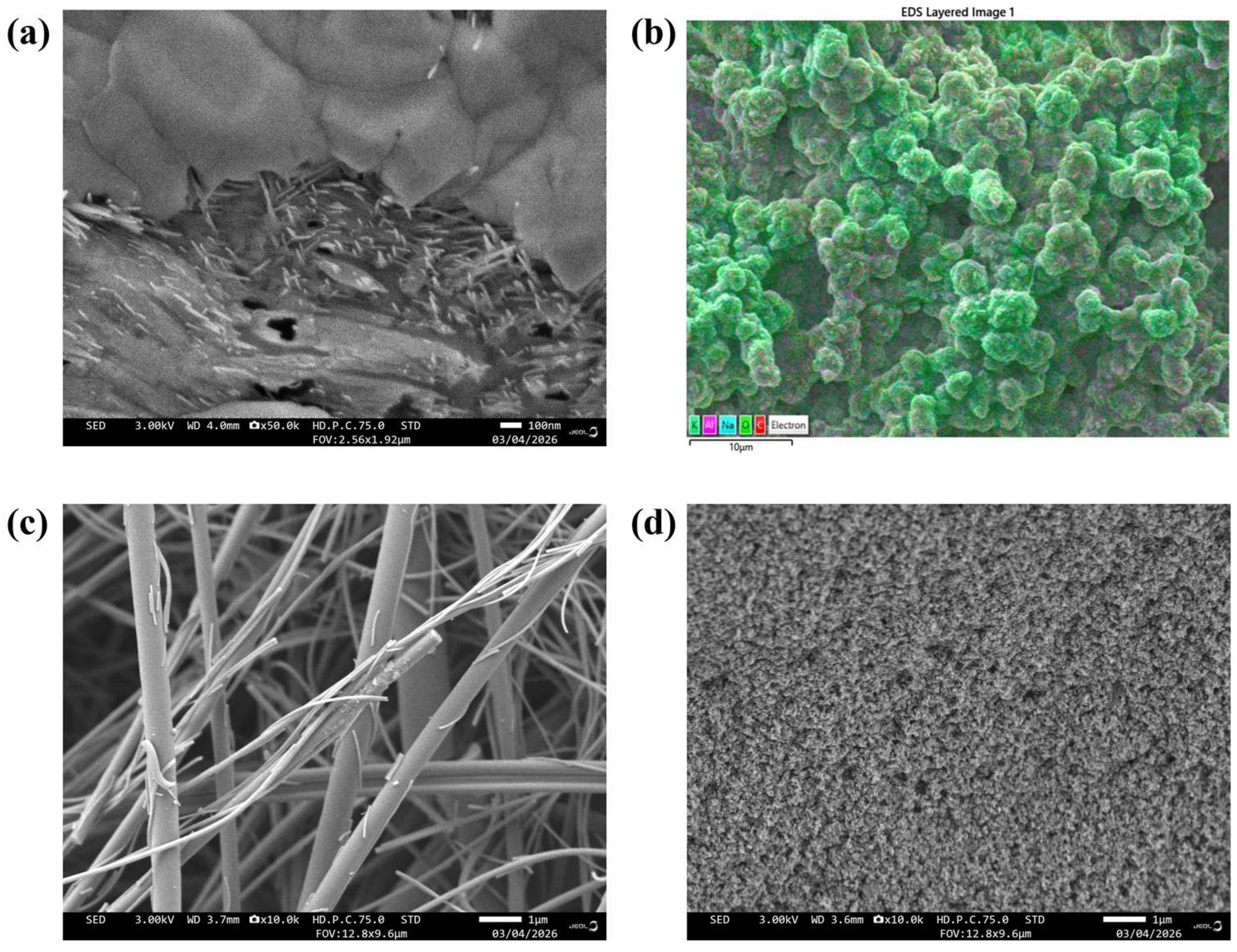 Catalysts 16 00438 g001 Catalysts 16 00438 g001