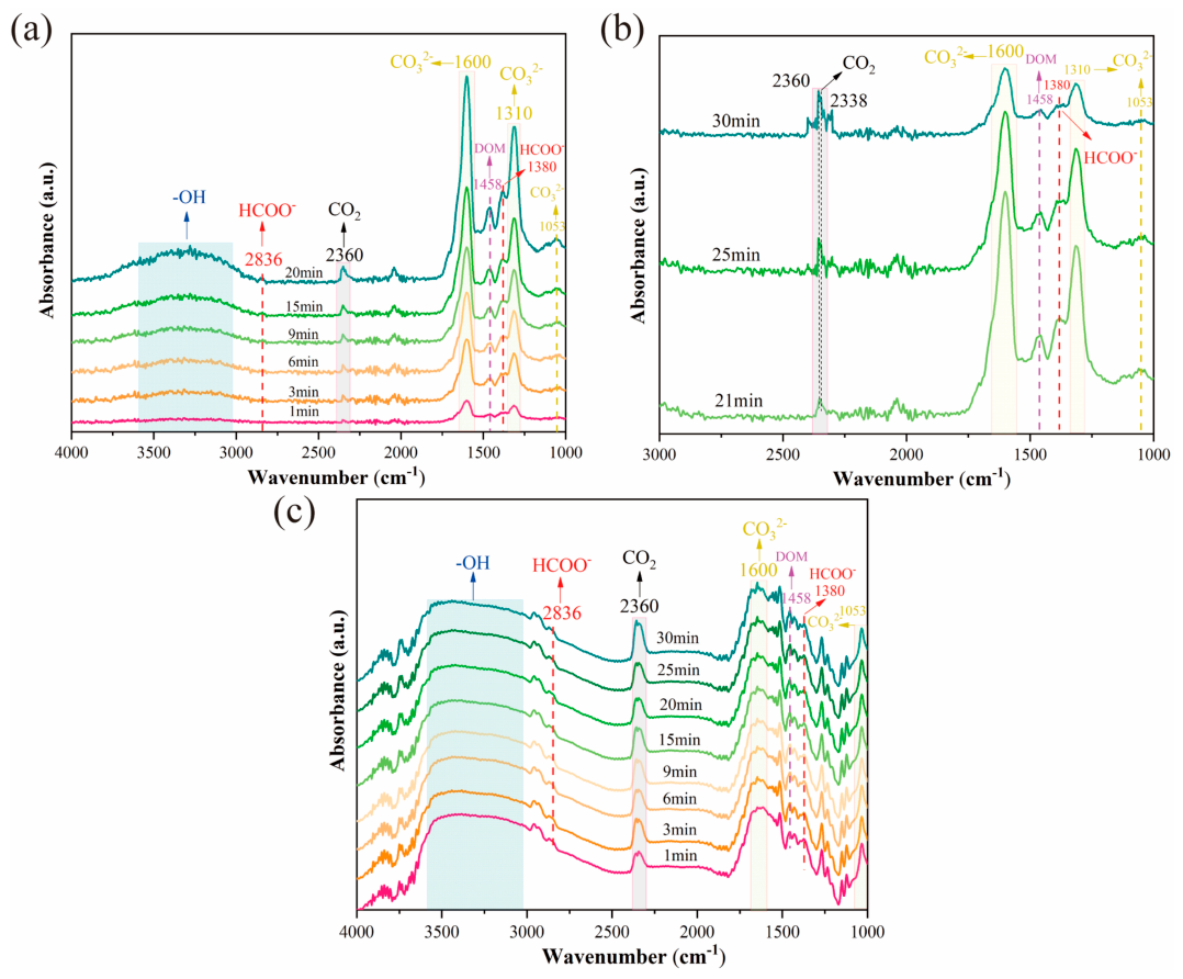 Catalysts 16 00454 g010 Catalysts 16 00454 g010