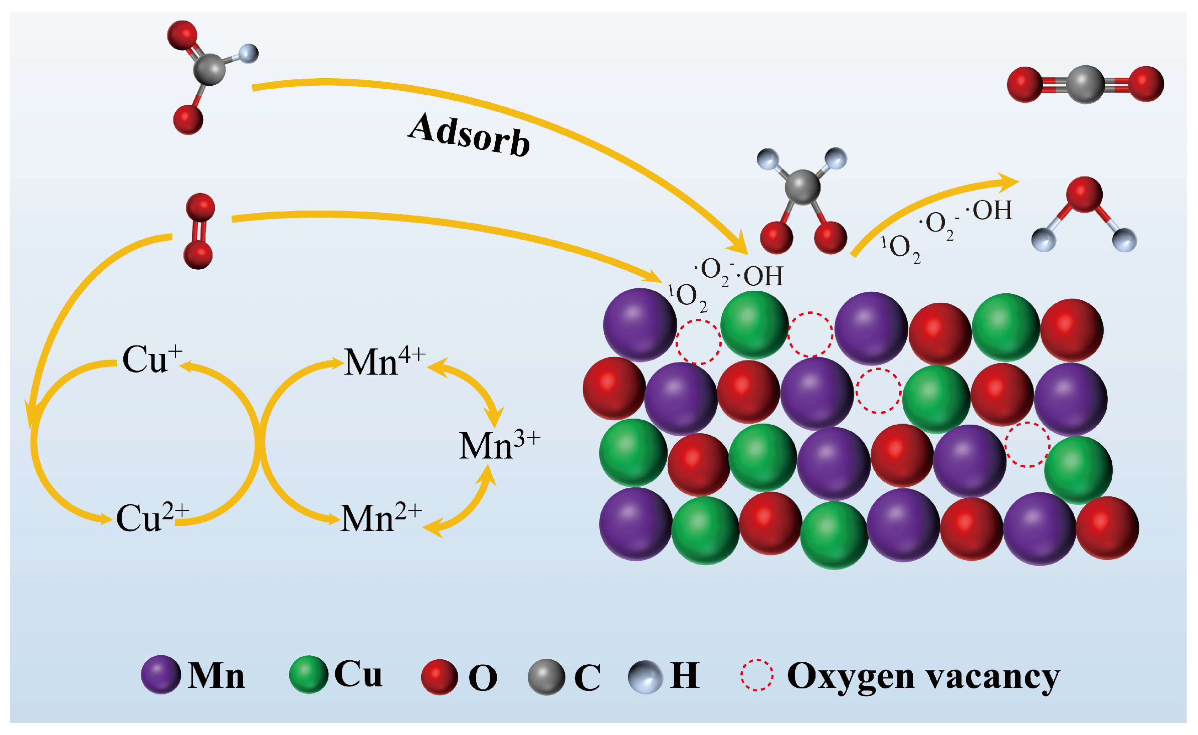 Catalysts 16 00454 g011 Catalysts 16 00454 g011