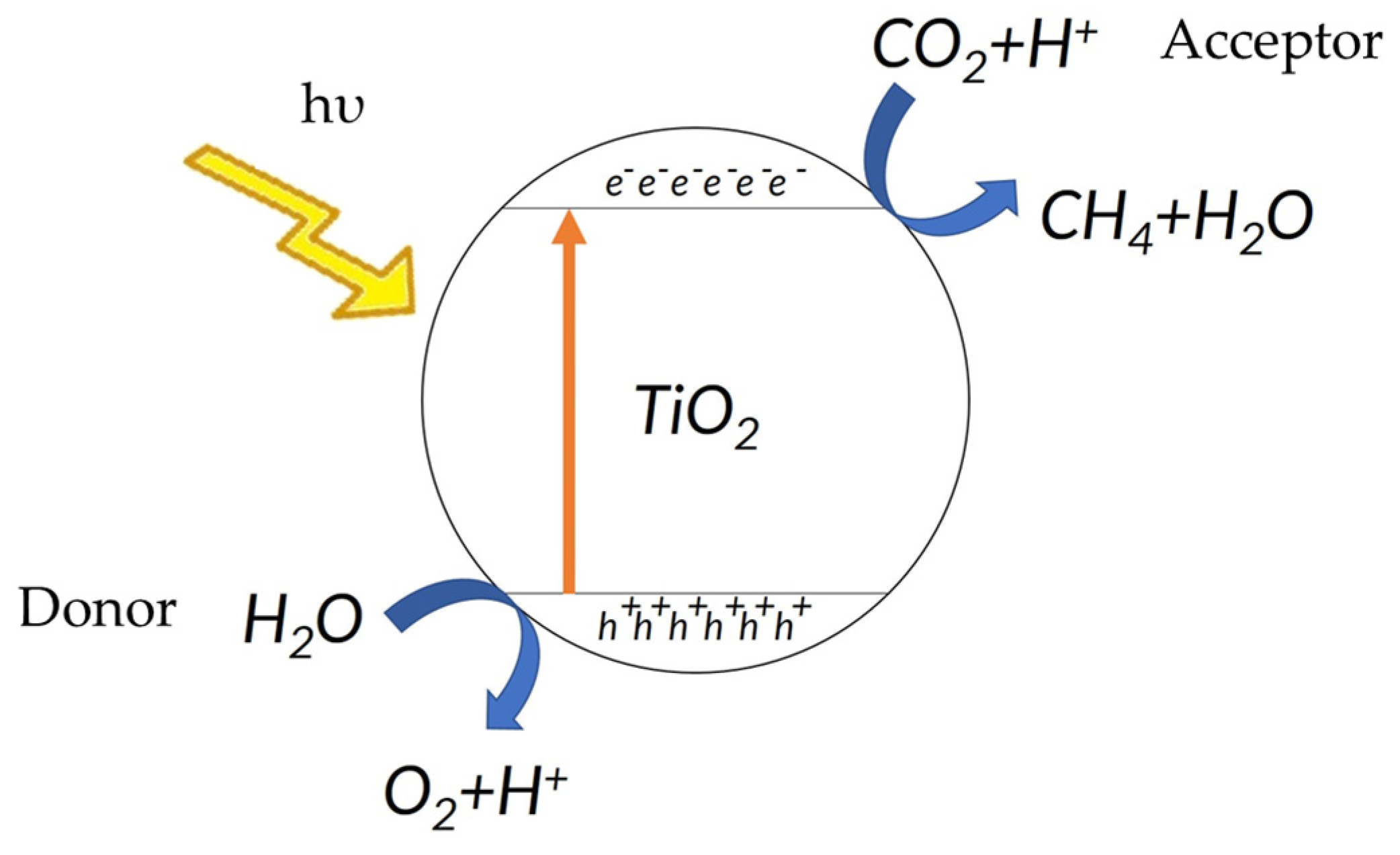 Catalysts 16 00491 g001 Catalysts 16 00491 g001