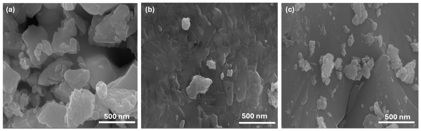 Catalysts 16 00496 g003 Catalysts 16 00496 g003