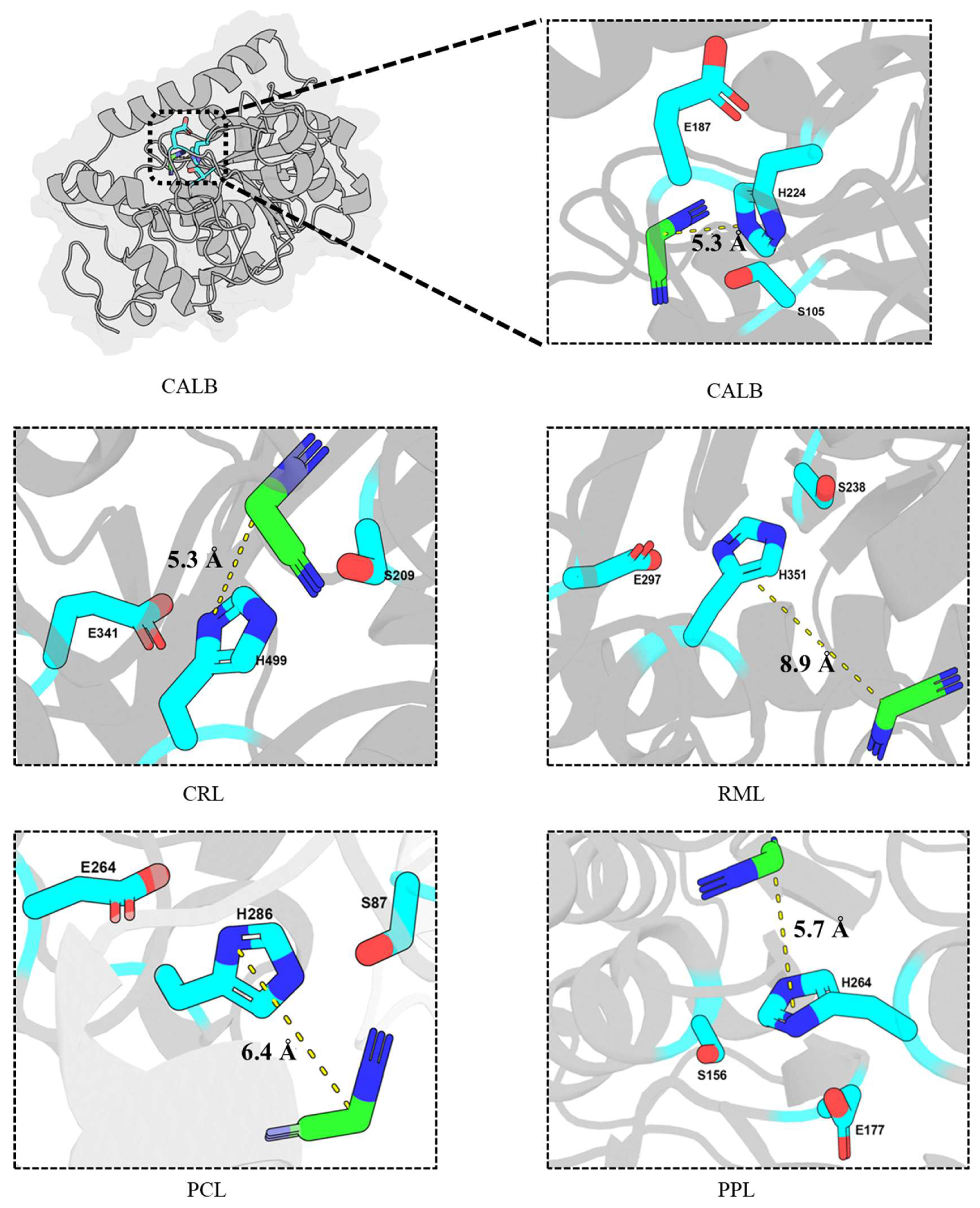 Catalysts 16 00511 sch004 Catalysts 16 00511 sch004