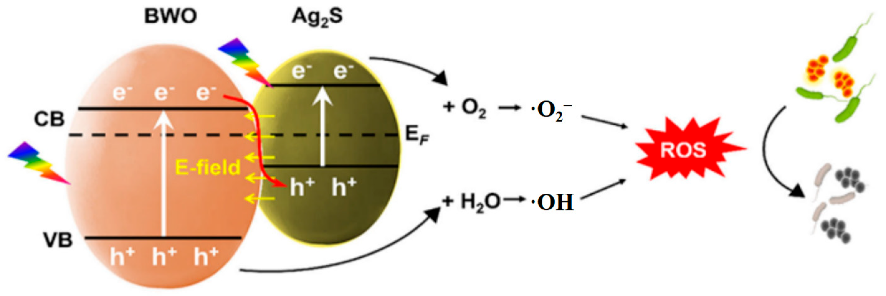 Catalysts 16 00548 g006 Catalysts 16 00548 g006