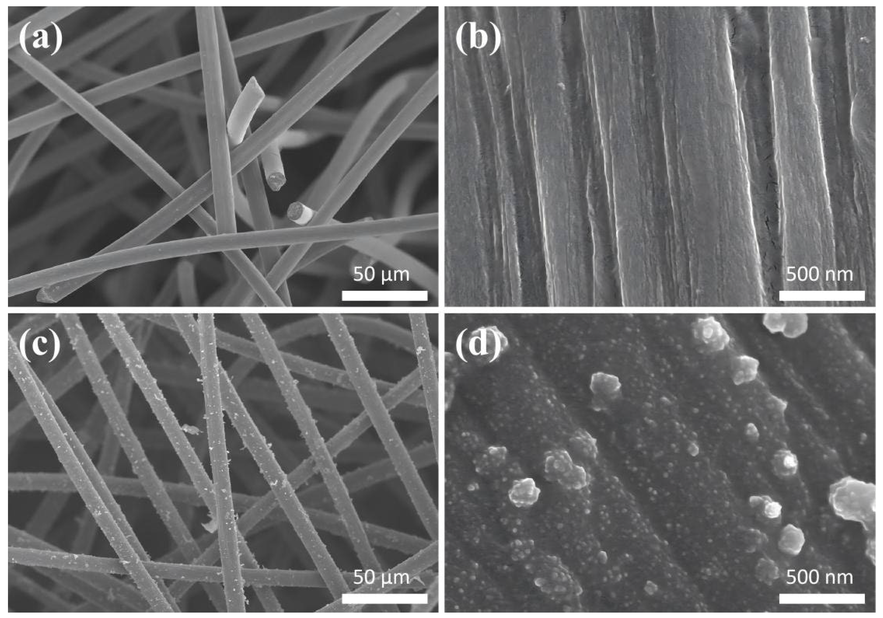 Catalysts 16 00562 g001 Catalysts 16 00562 g001