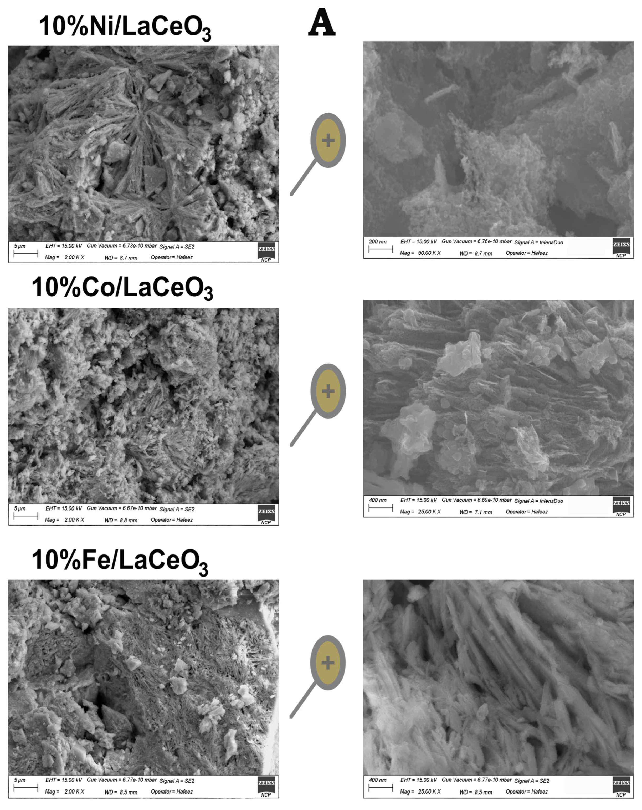 Catalysts 16 00564 g006a Catalysts 16 00564 g006a