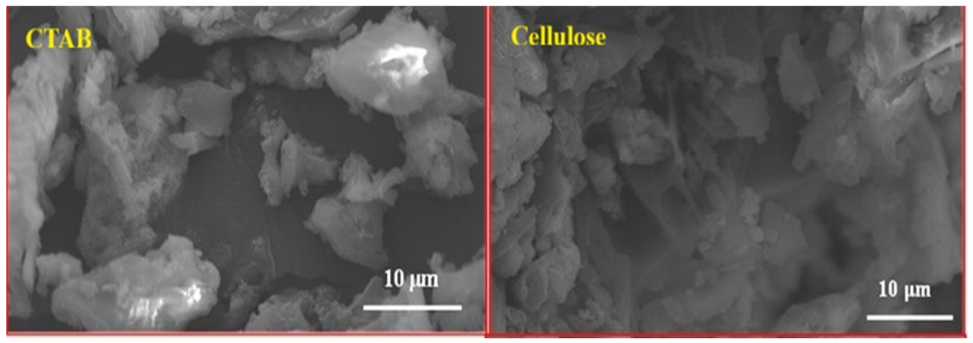 Catalysts 16 00592 g002 Catalysts 16 00592 g002