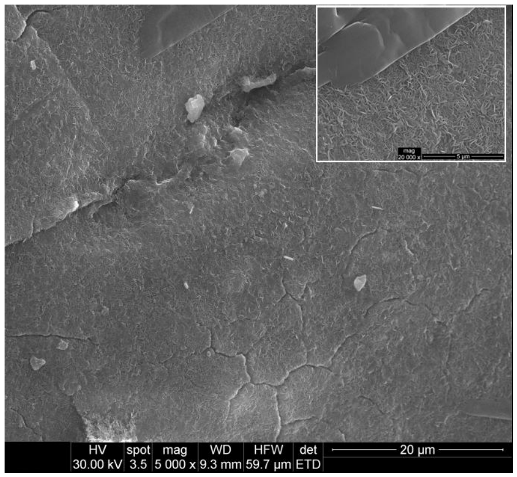 Catalysts 16 00600 g002 Catalysts 16 00600 g002