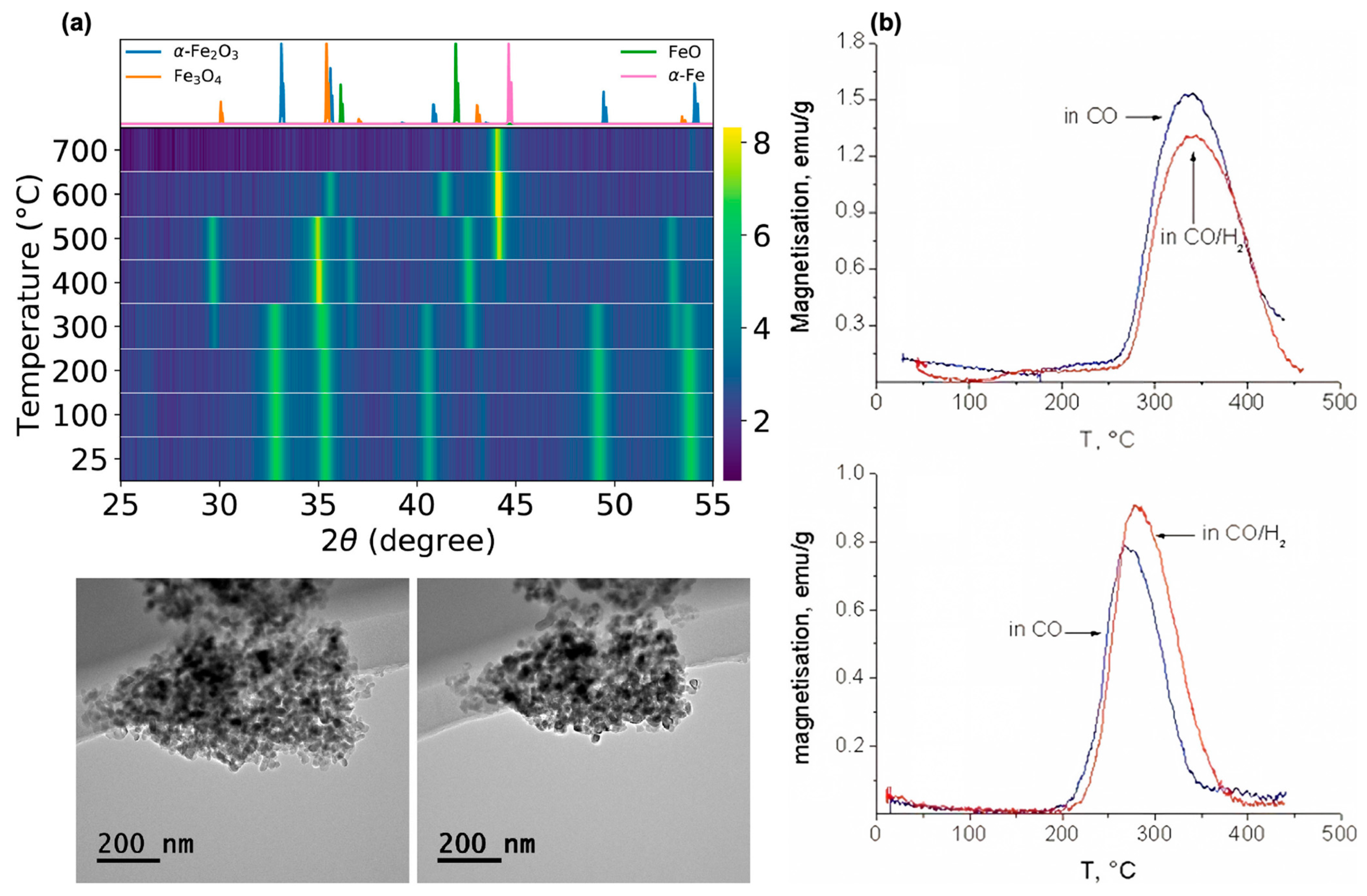 Catalysts 16 00609 g004 Catalysts 16 00609 g004