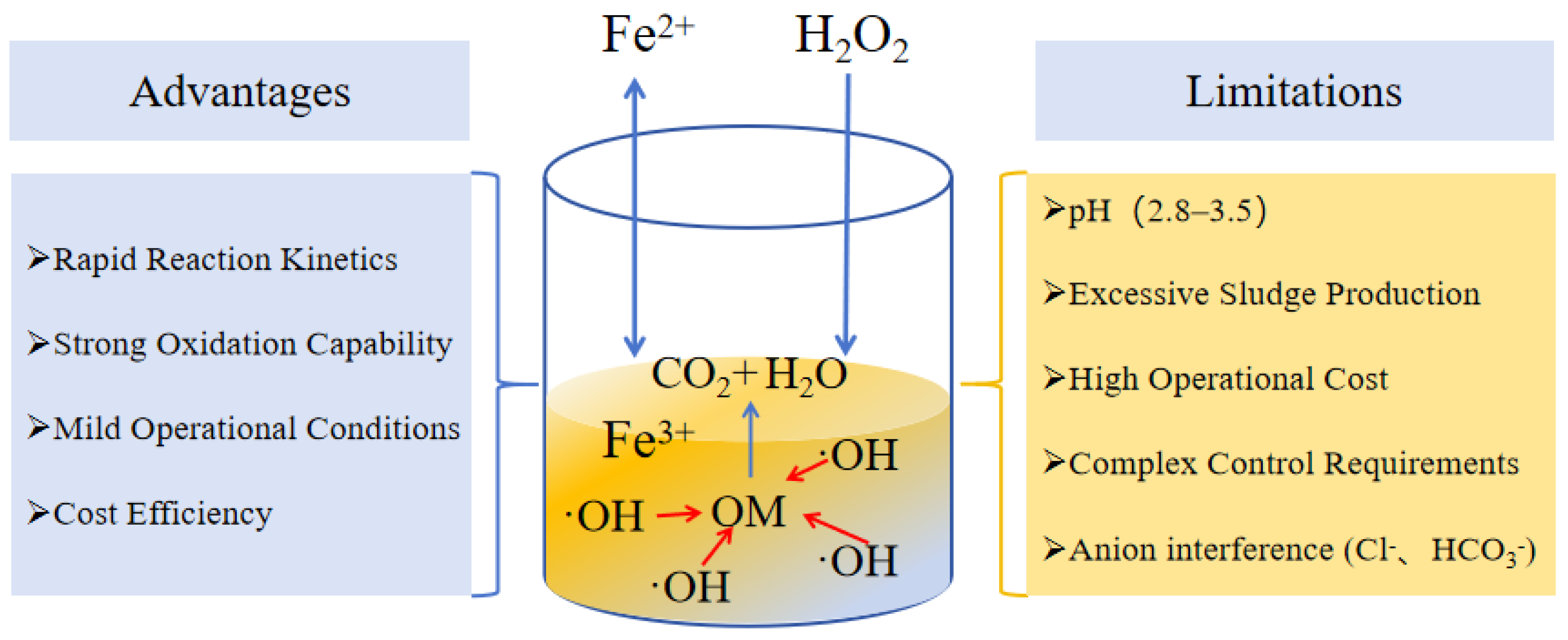 Catalysts 16 00644 g002
