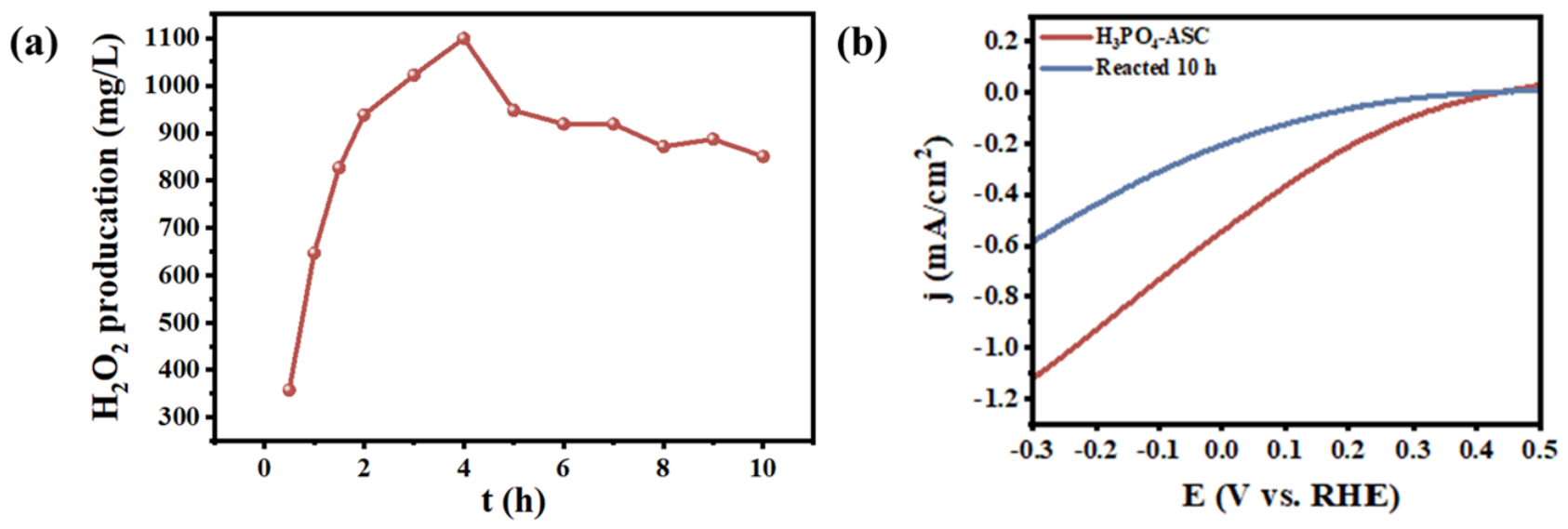 Catalysts 16 00663 g010 Catalysts 16 00663 g010
