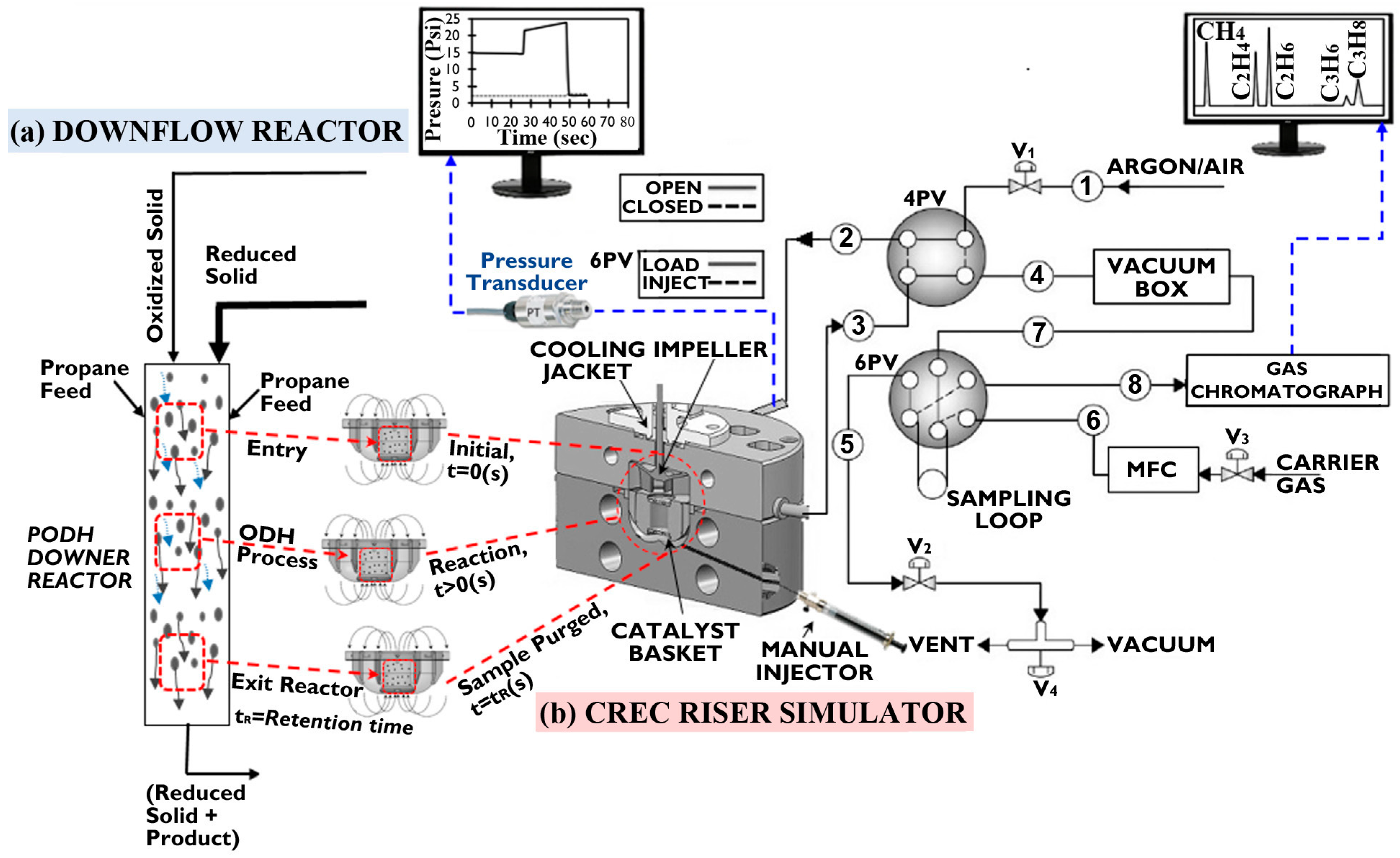 Catalysts 16 00664 g005 Catalysts 16 00664 g005