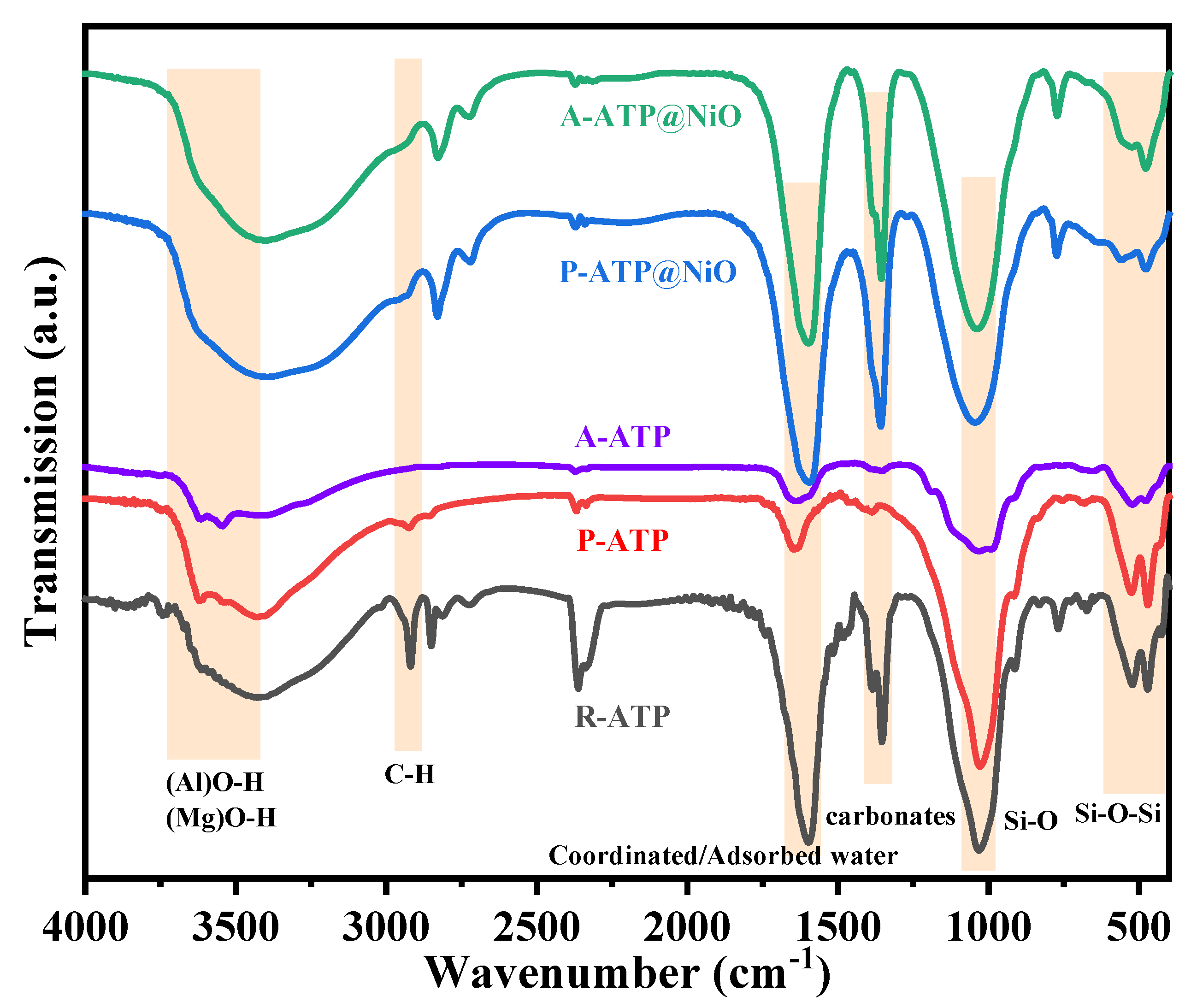 Catalysts 16 00687 g002 Catalysts 16 00687 g002