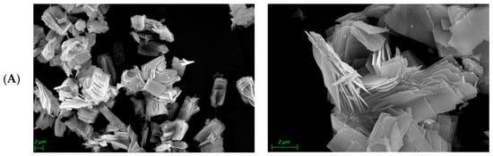Catalysts 16 00704 g002a Catalysts 16 00704 g002a