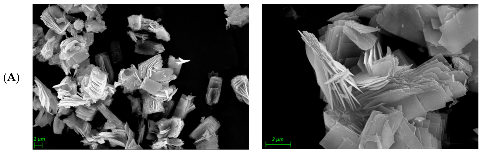 Catalysts 16 00704 g002a Catalysts 16 00704 g002a