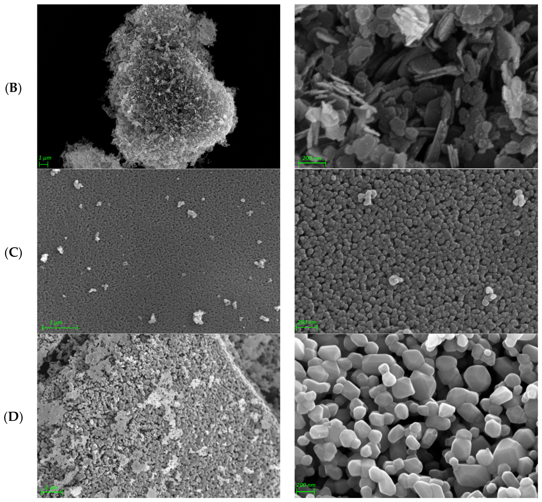 Catalysts 16 00704 g002b Catalysts 16 00704 g002b