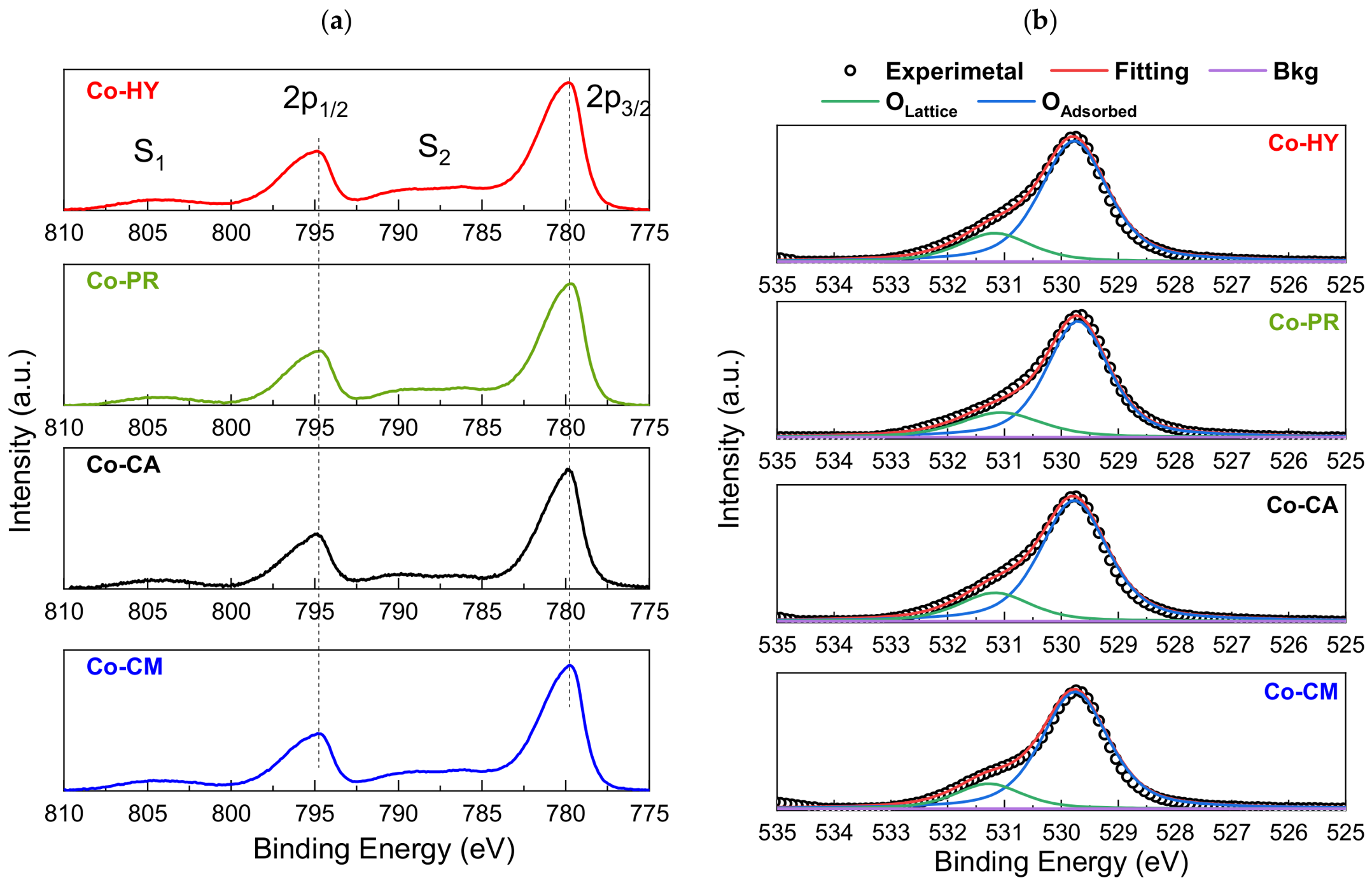 Catalysts 16 00704 g003 Catalysts 16 00704 g003