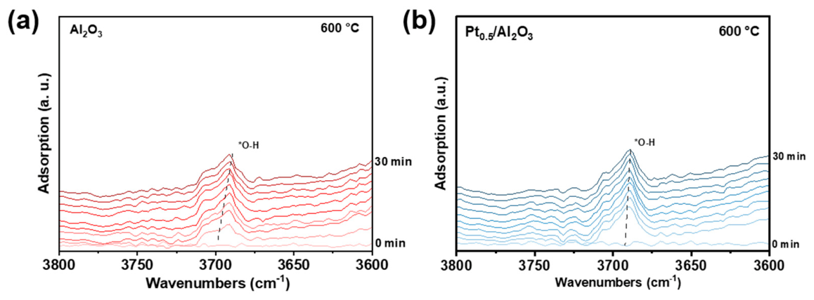 Catalysts 16 00705 g008 Catalysts 16 00705 g008