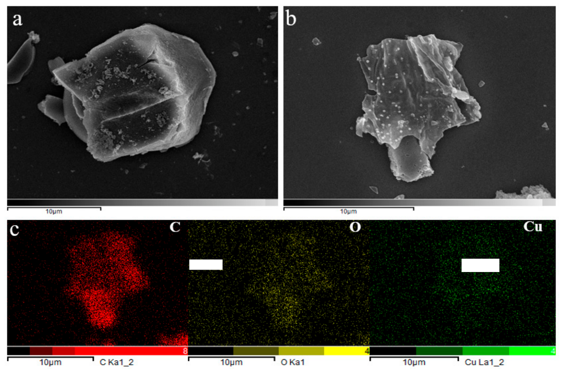Catalysts 16 00706 g001 Catalysts 16 00706 g001