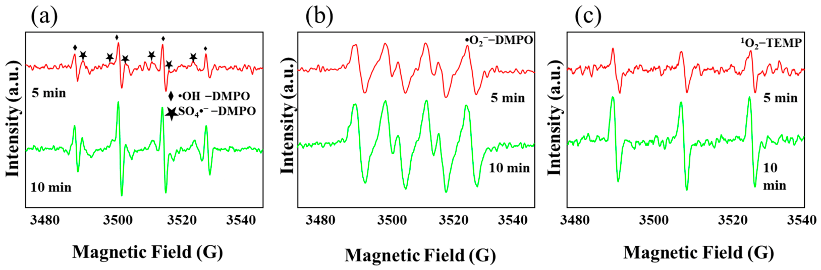 Catalysts 16 00706 g006 Catalysts 16 00706 g006