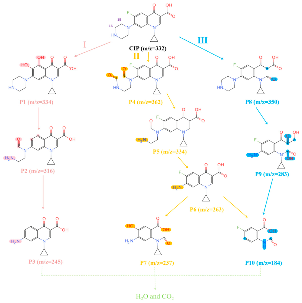 Catalysts 16 00706 g012 Catalysts 16 00706 g012