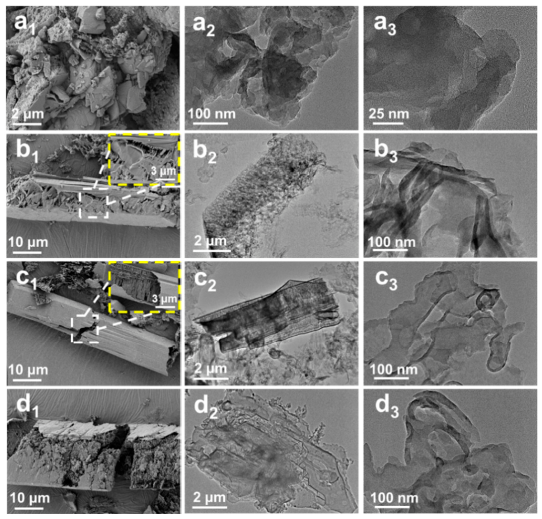 Catalysts 16 00749 g001 Catalysts 16 00749 g001