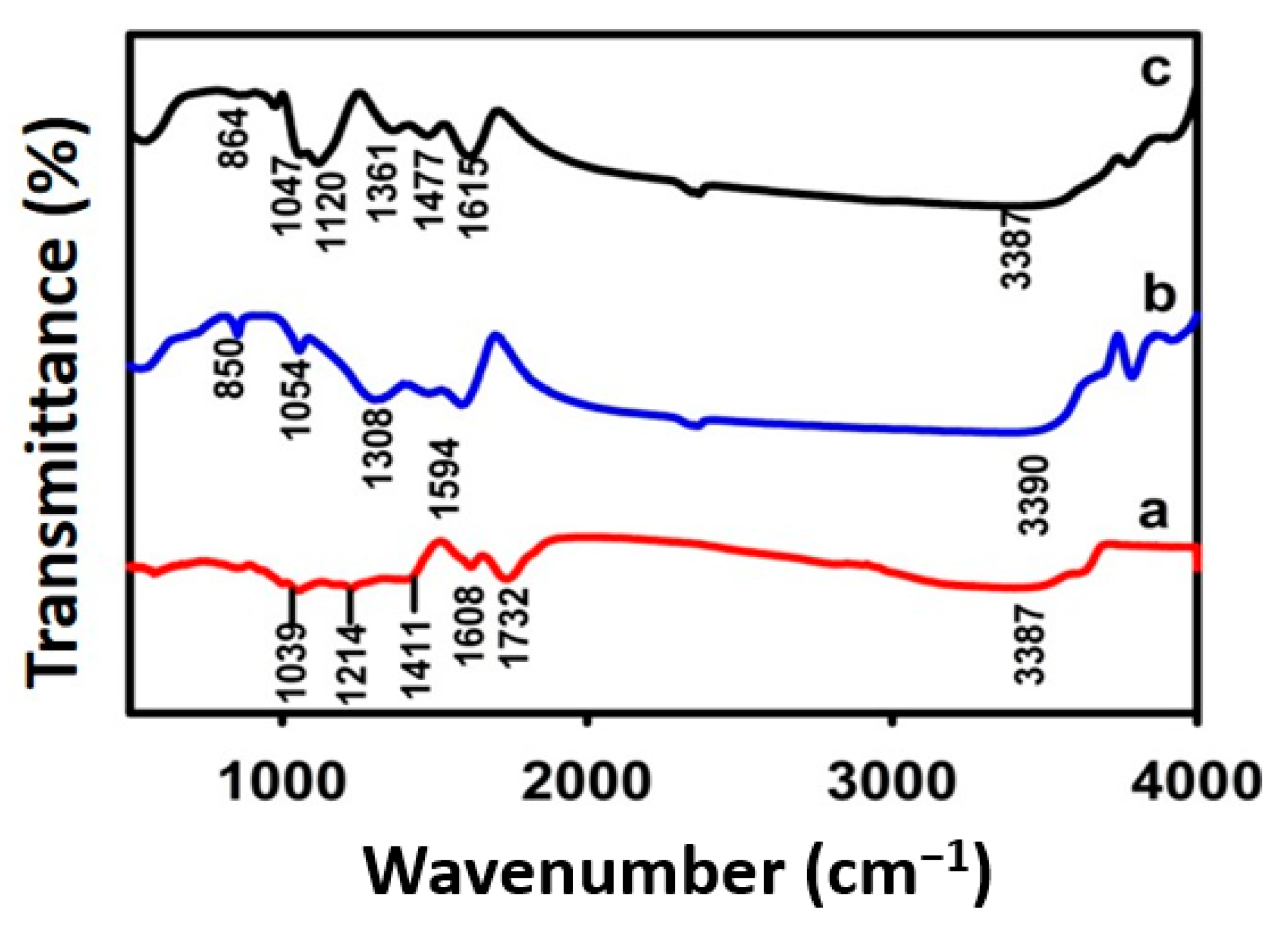 Catalysts 16 00750 g002 Catalysts 16 00750 g002