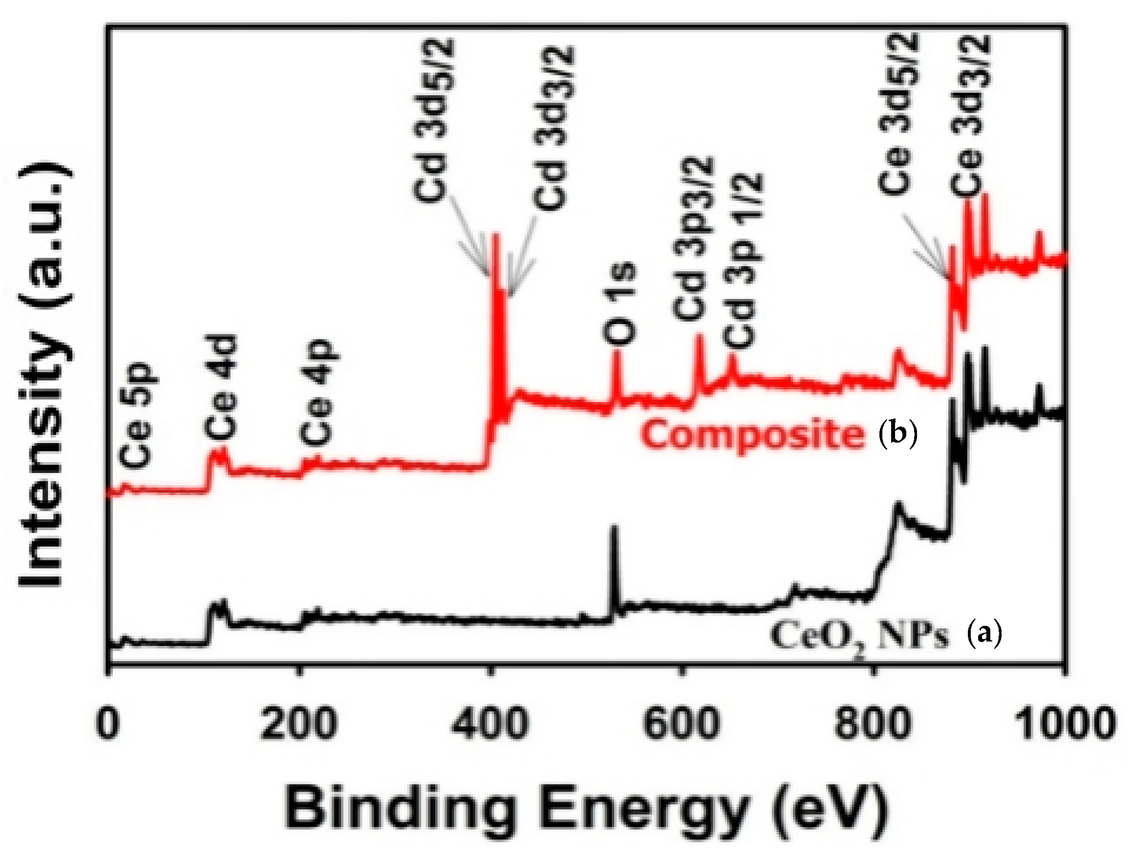 Catalysts 16 00750 g004 Catalysts 16 00750 g004