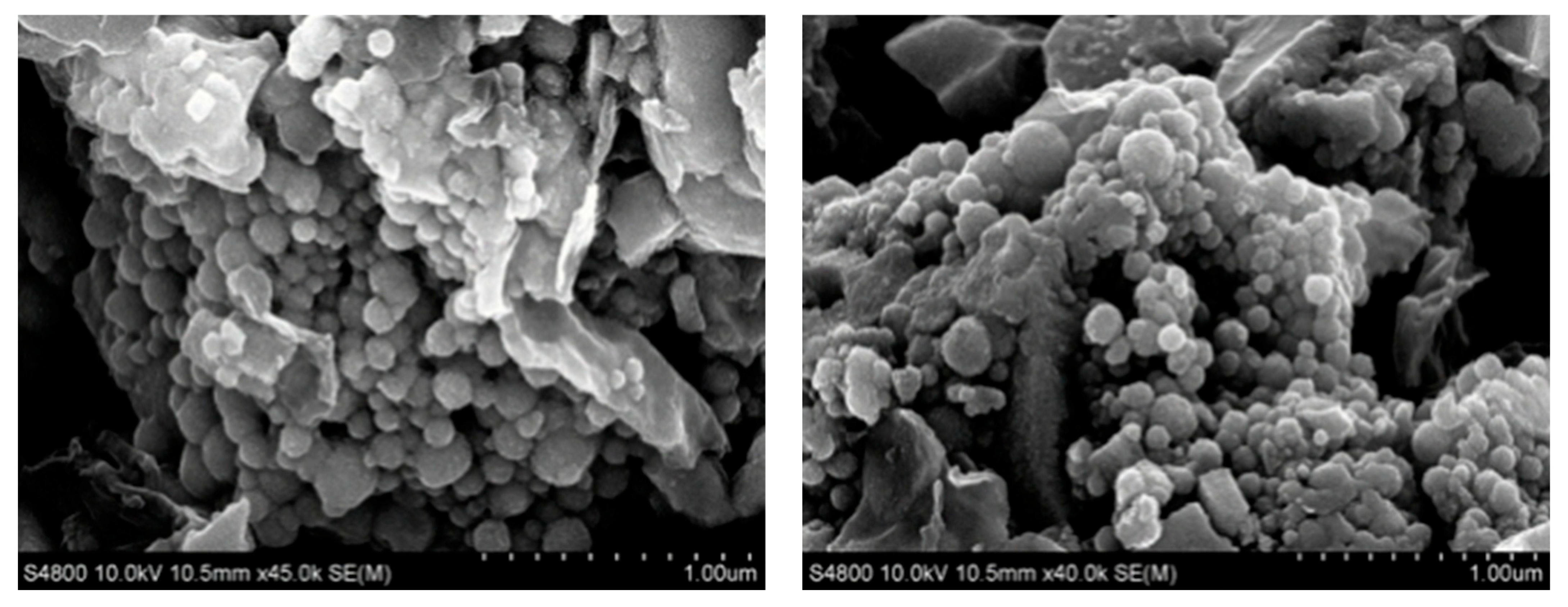 Catalysts 16 00750 g007 Catalysts 16 00750 g007