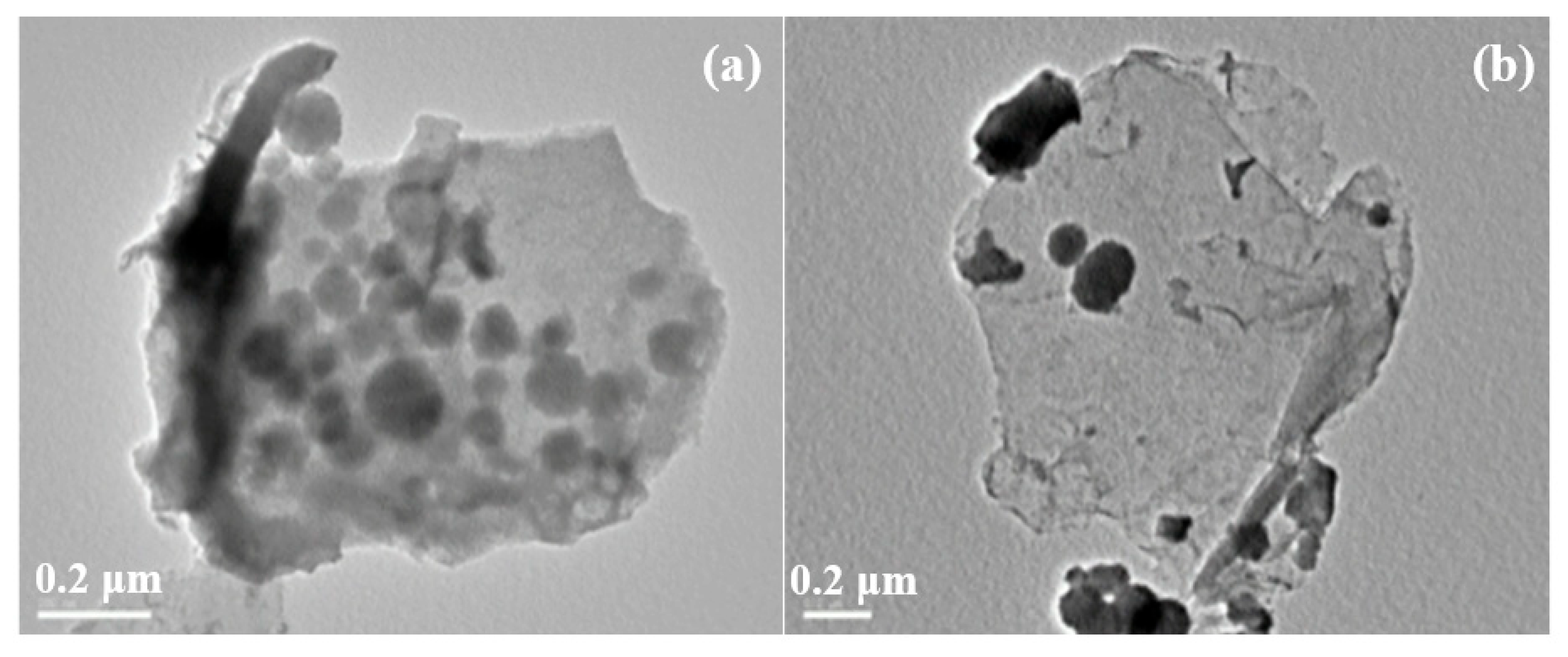 Catalysts 16 00750 g008 Catalysts 16 00750 g008