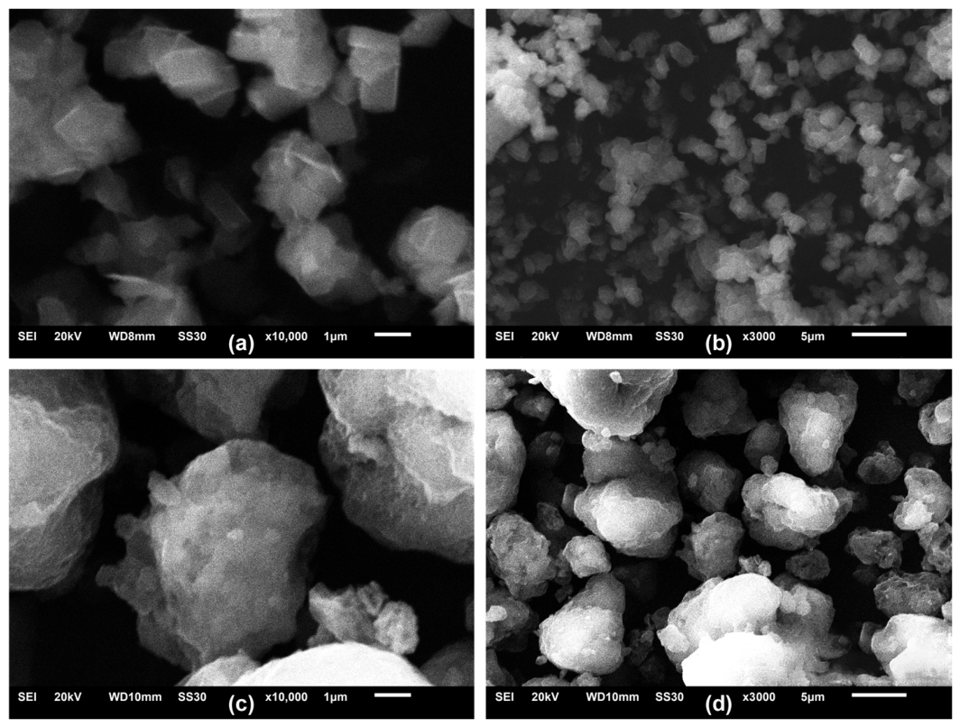 Catalysts 16 00751 g004 Catalysts 16 00751 g004