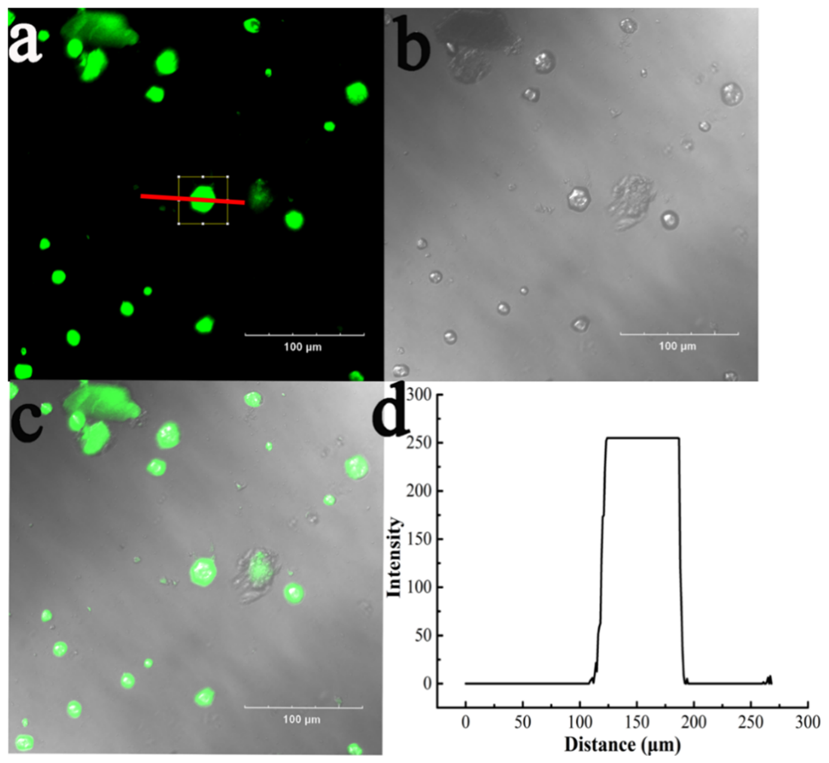 Catalysts 16 00765 g004 Catalysts 16 00765 g004