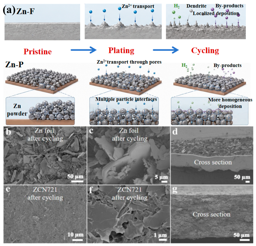 Catalysts 16 00815 g002 Catalysts 16 00815 g002