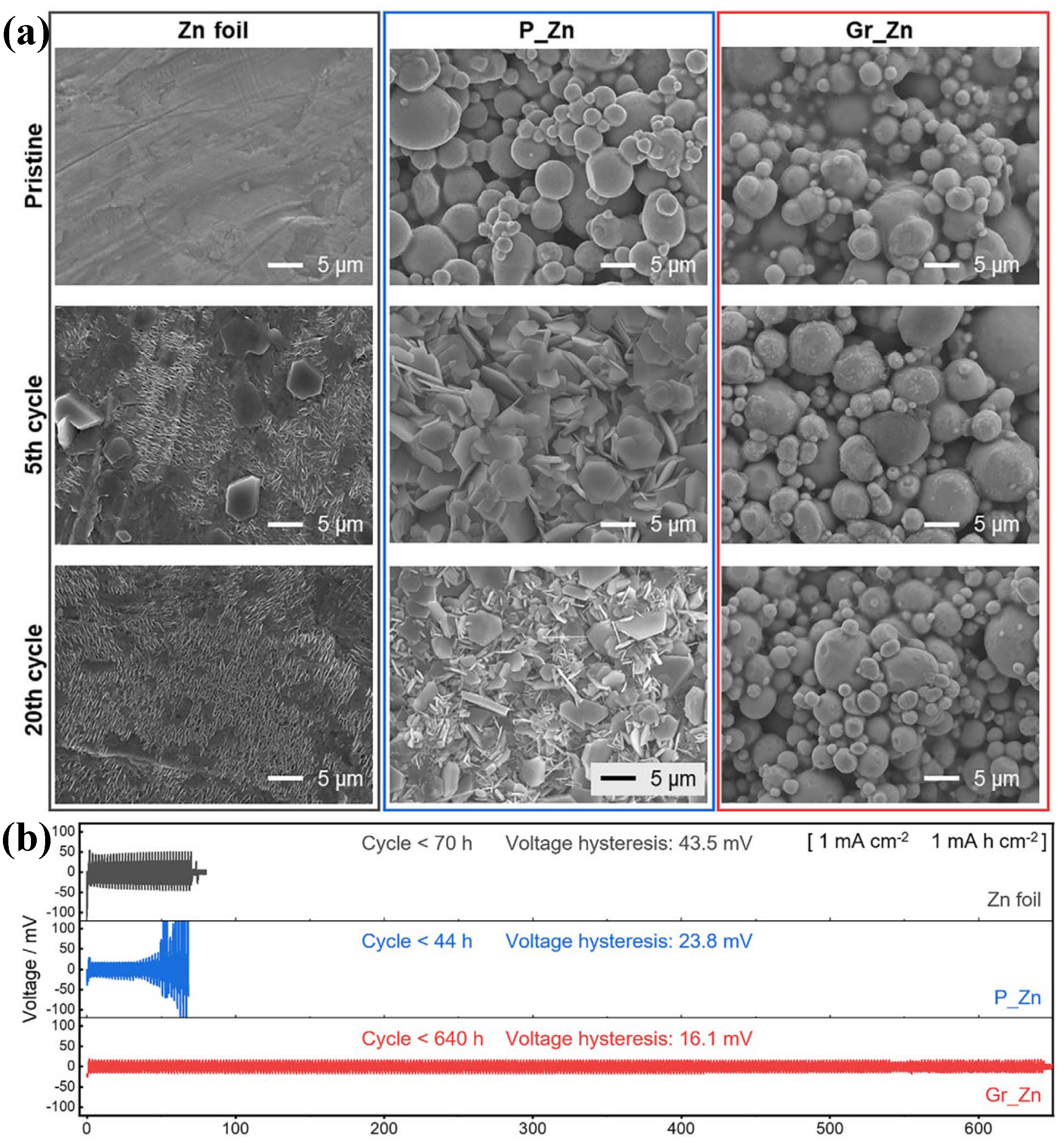 Catalysts 16 00815 g004 Catalysts 16 00815 g004
