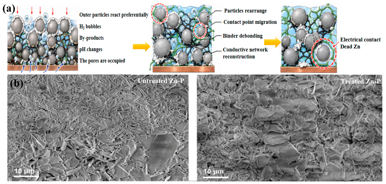 Catalysts 16 00815 g005 Catalysts 16 00815 g005