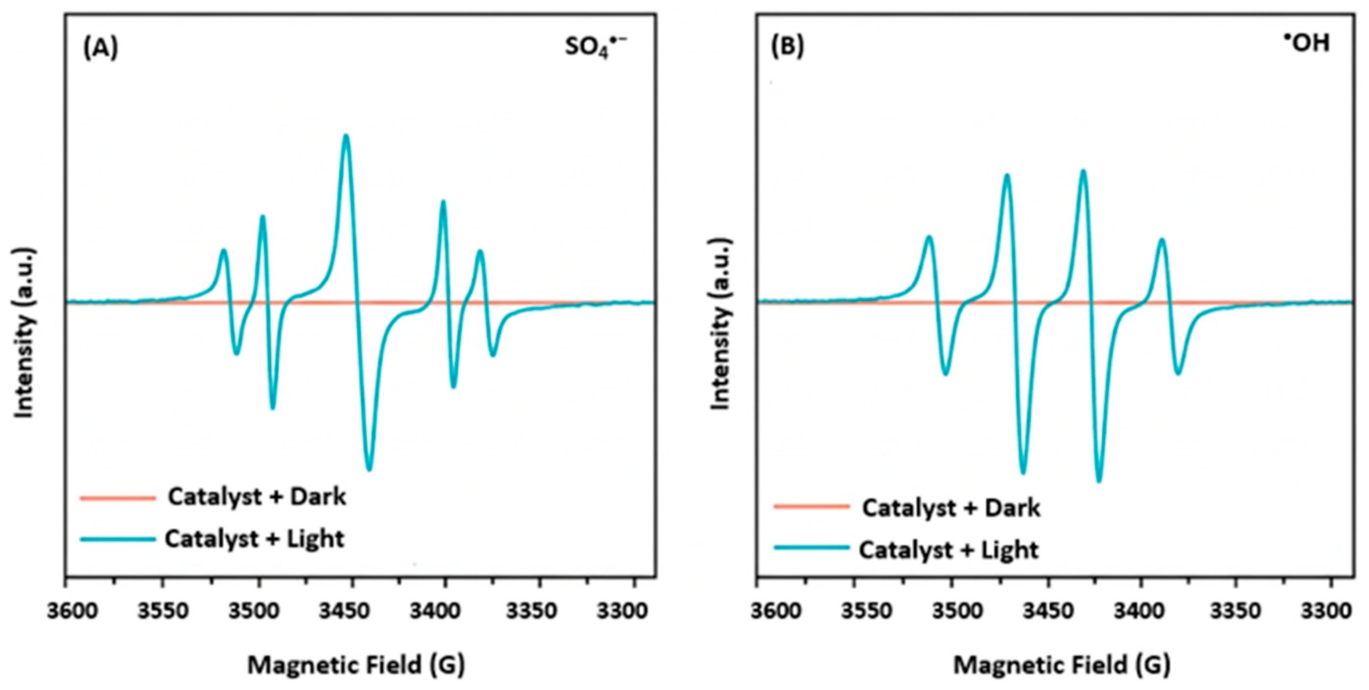 Catalysts 16 00844 g013 Catalysts 16 00844 g013