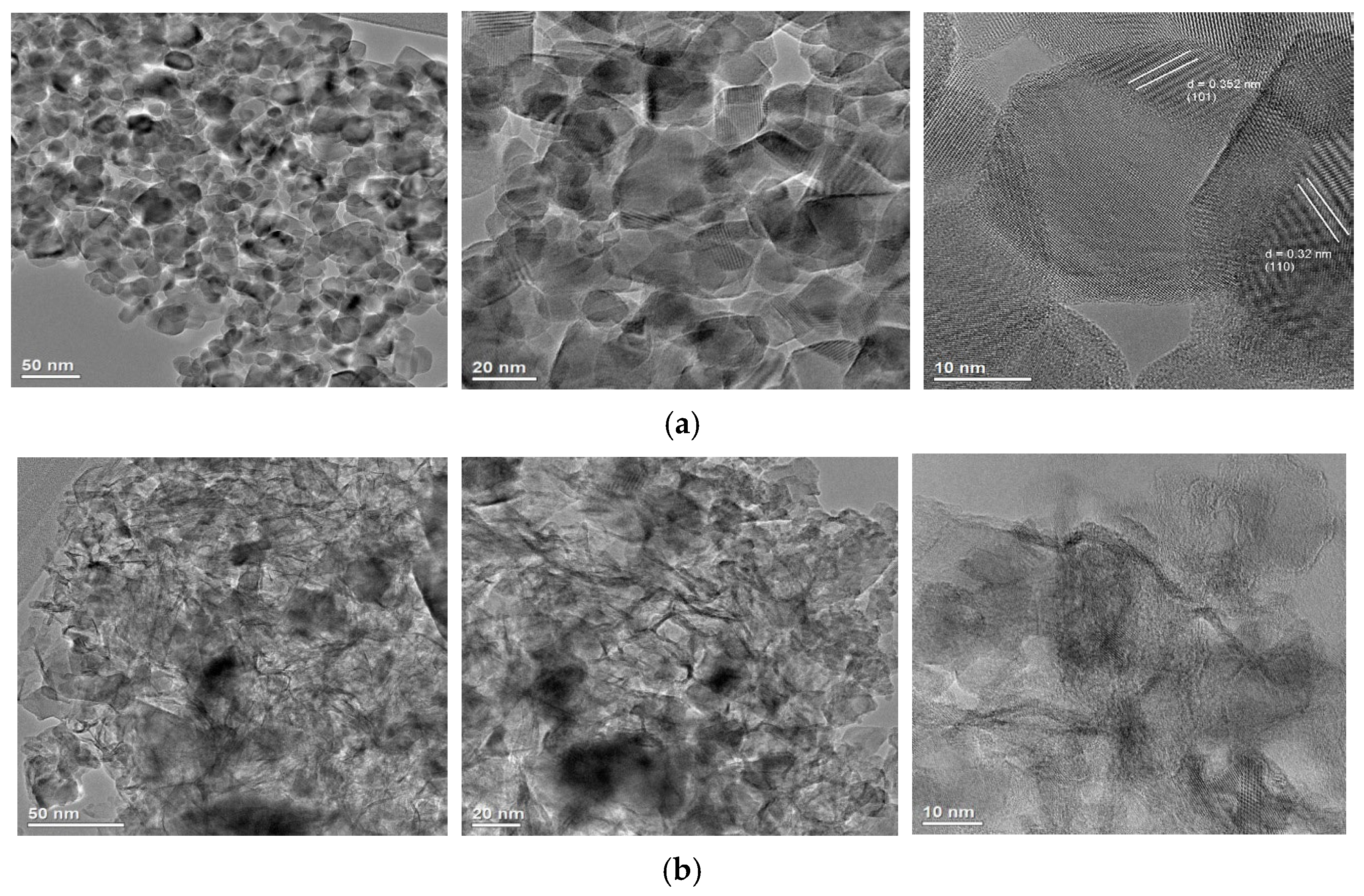 Catalysts 16 00852 g005 Catalysts 16 00852 g005