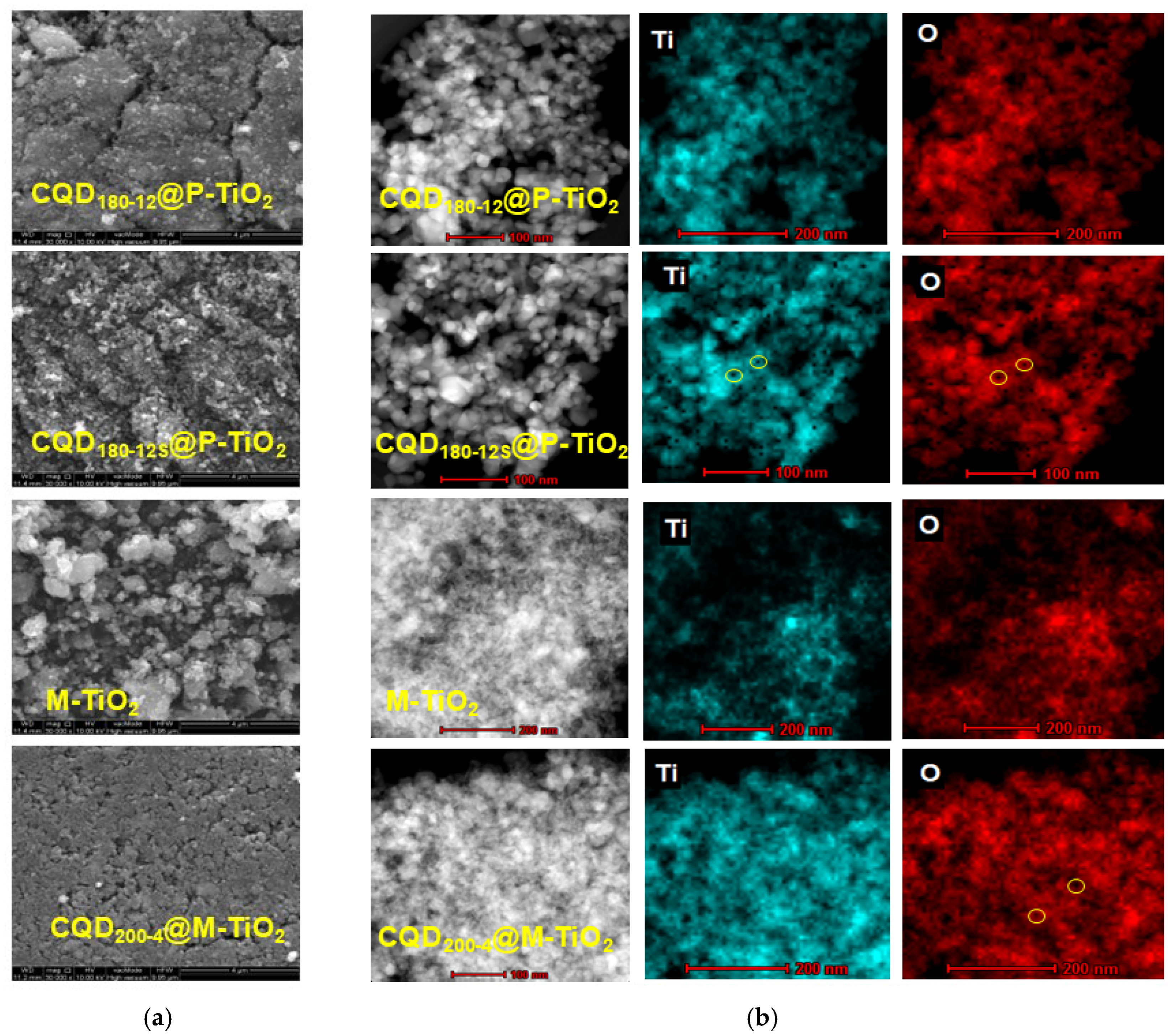 Catalysts 16 00852 g006 Catalysts 16 00852 g006