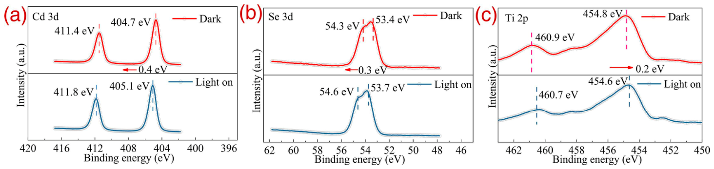Catalysts 16 00853 g003 Catalysts 16 00853 g003